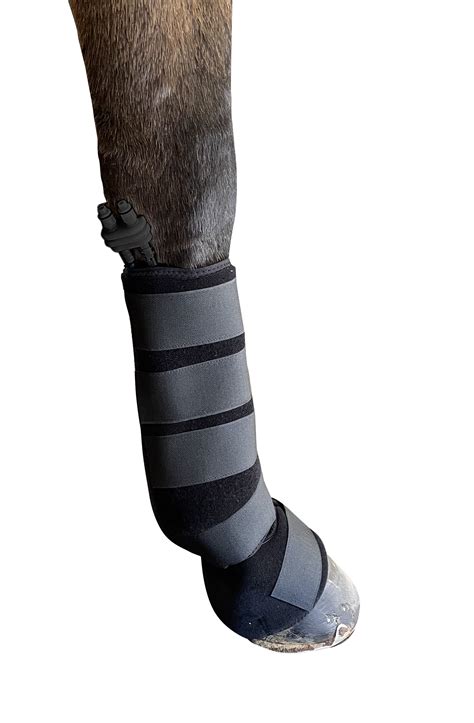 equine compression wraps.